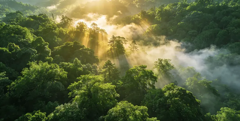 阿勒泰肺癌12基因ctDNA突变检测(血液）图片1