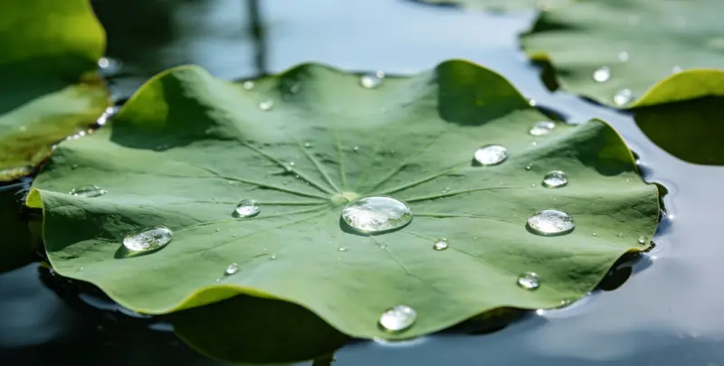 阿勒泰乳腺癌21基因mRNA表达分析图片1