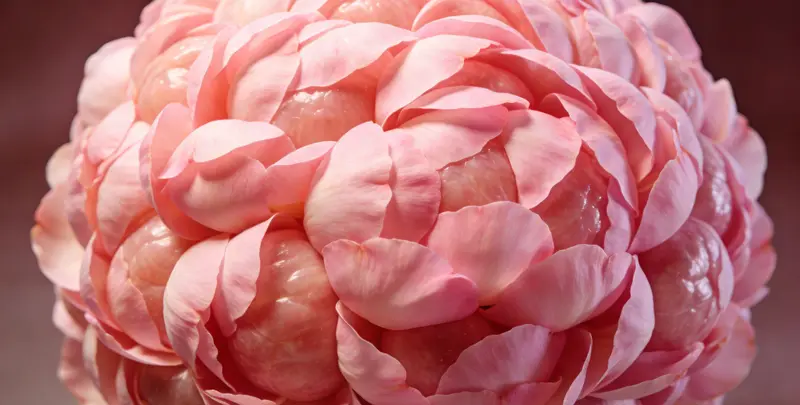 阿勒泰BRCA1/2乳腺癌卵巢癌基因检测图片1